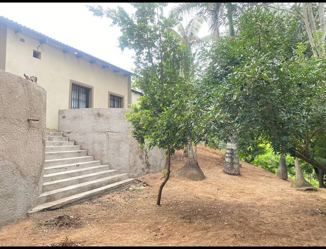 22.60HA FARM FOR SALE IN KARINO